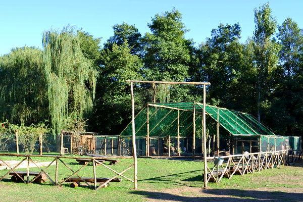 ホテルAgriturismo La Sorgente Di Nepi エクステリア 写真